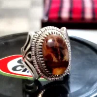 شجر