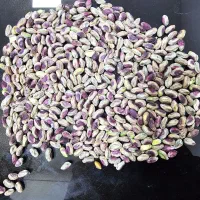 انواع مغز پسته رفسنجان برای انواع مصرفی ها