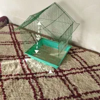 قفس پرنده