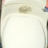 توالت فرنگی سرامیکی