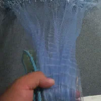 سلیه نو بیاح و غیره