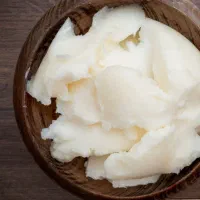 شحم گاو