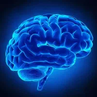 آموزش خصوصی و گروهی زبان انگلیسی