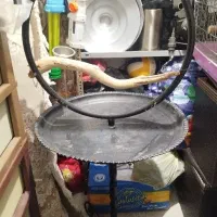 استند پرنده