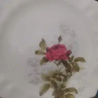آرکوپال شش نفره