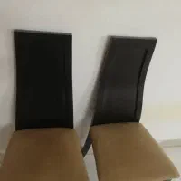 صندلی|صندلی و نیمکت|رشت, کاکتوس|دیوار