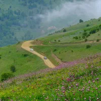 گردشگری