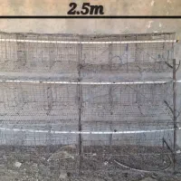 قفس مرغ تخمگذار