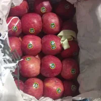 میوه  فوق لوکس برای عیدقربان