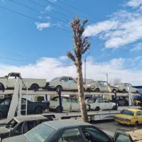 خرید خودرو