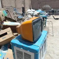 تلویزیون
