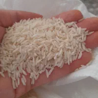 برنج طارم محلی شمال