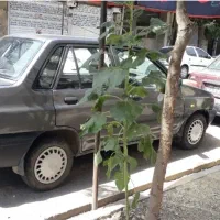 پراید مدل ۹۰