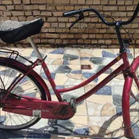 دوچرخه بچه فنیکس
