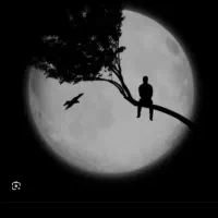 راهنمایی کنید