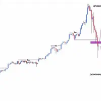 تریدر فارکس بهمراه ضمانت