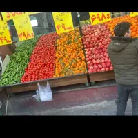 صندوقدار خانم و کارگر ساده میوه فروشی