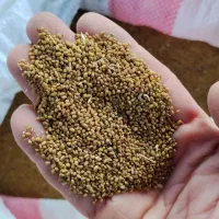 تخم یونجه|خدمات باغبانی و درختکاری|رودخانه, |دیوار
