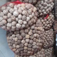 حراج گردو و بادام درجه یک کردستان