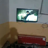 تلویزون