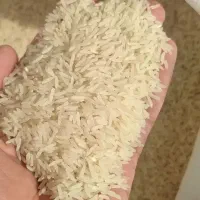 برنج فجر سوزنی ۹۰ روزه