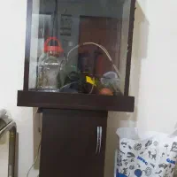 آکواریوم در حد