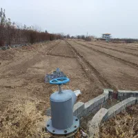 زمین کشاورزی جاده کوچری