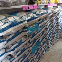 پخش شوینده وحید