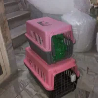 دو مدل باکس سگ و گربه