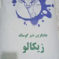 پودرشیر