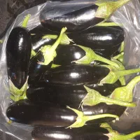 بادمجان ریز مخصوص ترشی