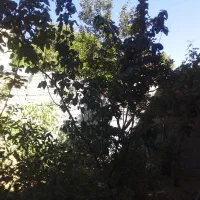 کشاورزی و باغداری