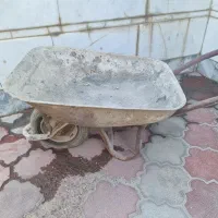 فرغون