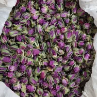 غنچه گل محمدی