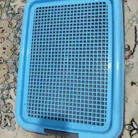 جایه دستشویی سگ