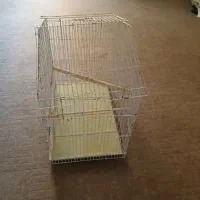 یه عددقفس پرنده