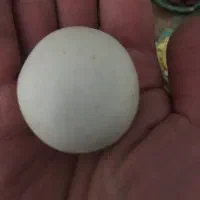 سنگ الماس آسیاب