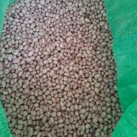 لوبیاچیتی گوشا
