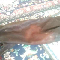 مشک دوغ وشیر