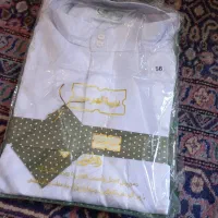 داشداشه مردانه