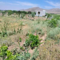 1200-متر-زمین-مسکونی-سند-دار