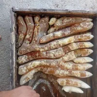عسل کندو با کیفیت