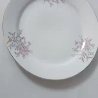 دو دست بشقاب پلو خوری چینی گل عروس