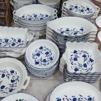 خرید ظروف پزیرایی قسطی ماهی 10هزار