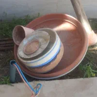 گلدان