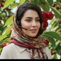 فروش نهال گردو بادام زیتون صنوبر انگور پسته زرشک