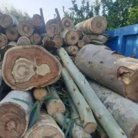 خرید چوب هیزم