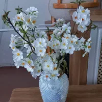 گل و گلدان