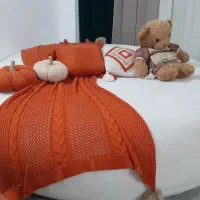 مبل/تخت شنی