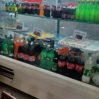 یخچال الکترو استیل دومتری
